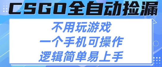 CSGO自动捡漏项目，最新独家玩法，不用挂G不用玩游戏，一个手机即可操作，新手小白轻松月入1W+【揭秘】-驿想项目网
