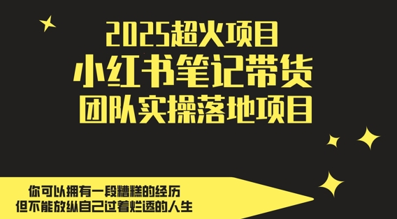 2025超火项目，副业最佳选择，小红书笔记带货团队实操落地项目，，轻松日入5张-驿想项目网