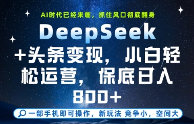 DeepSeek+头条变现，保姆级教学，小白轻松上手，日入8张+【揭秘】-驿想项目网