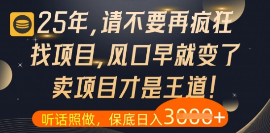 什么？25年你还在疯狂找项目做，醒醒吧，看完这些你全都懂了【揭秘】-驿想项目网