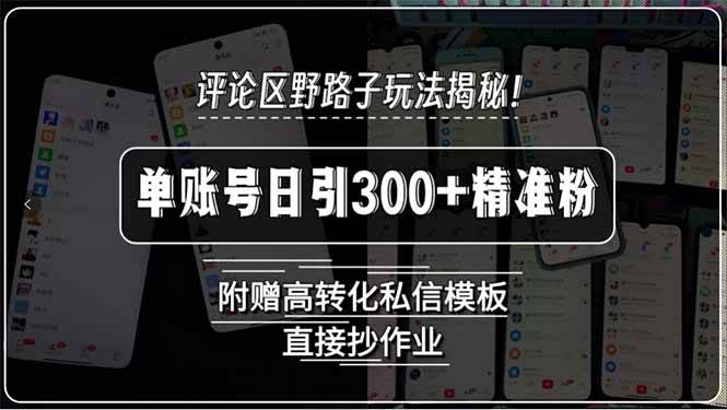 （15466期）评论区野路子玩法揭秘！单账号日引300+精准粉，附赠高转化私信模板，直…-驿想项目网