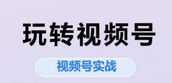 玩转视频号，视频号实战系列课-驿想项目网
