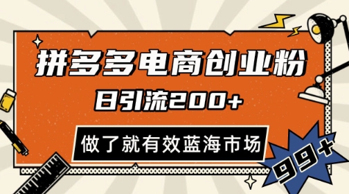 拼多多引流电商创业粉，日引200+，可矩阵放大，做了就有效【揭秘】-驿想项目网