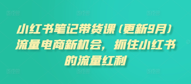 小红书笔记带货课(更新25年6月)流量电商新机会，抓住小红书的流量红利-驿想项目网
