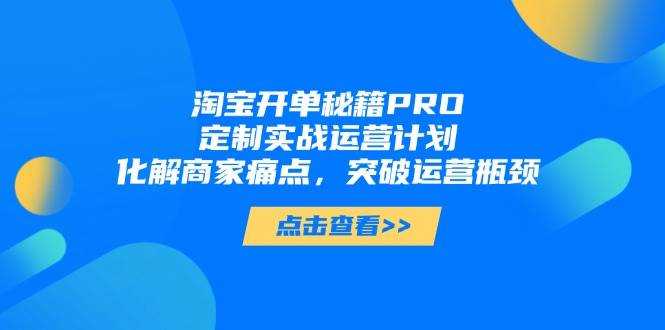 （14642期）淘宝开单秘籍PRO，定制实战运营计划，化解商家痛点，突破运营瓶颈-驿想项目网