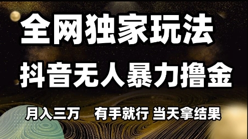 全网独家玩法抖音无人暴力撸金，月入3W，有手就行，当天拿结果【揭秘】-驿想项目网