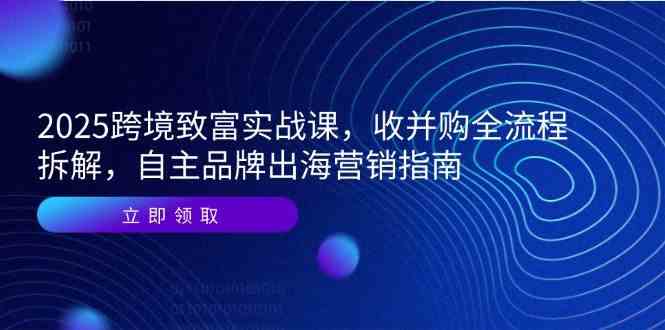 2025跨境致富实战课，收并购全流程拆解，自主品牌出海营销指南-驿想项目网