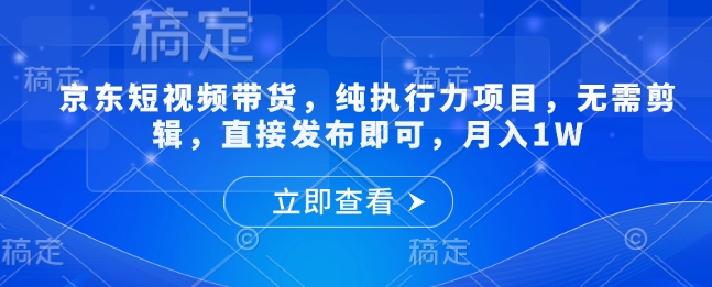 京东短视频带货，纯执行力项目，无需剪辑，直接发布即可，月入1W-驿想项目网