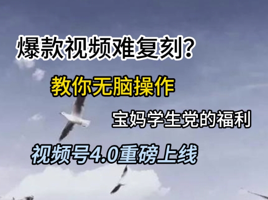 视频号4.0重磅上线，爆款视频难复刻？教你无脑操作宝妈学生党的福利【揭秘】-驿想项目网