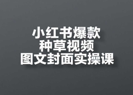 小红书爆款种草视频图文封面实操课，开店、选品、引流、变现全流程-驿想项目网