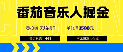番茄音乐人掘金，单账号最高可撸1k+，可无限矩阵去做，零投入-驿想项目网
