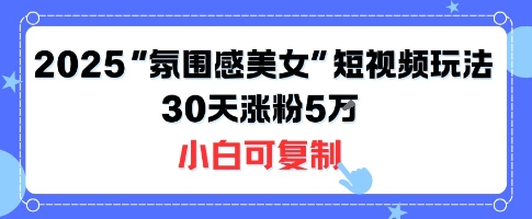 不露脸也能火！2025“氛围感美女”短视频玩法，30天涨粉5W小白可复制-驿想项目网