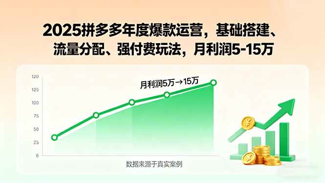 （15973期）2025拼多多年度爆款运营，基础搭建、流量分配、强付费玩法，月利润5-15万-驿想项目网