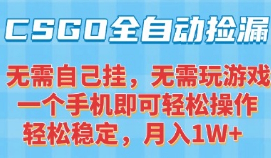 CSGO自动捡漏项目，最新独家玩法，一个手机可操作，新手小白轻松月入1W+，操作简单易上手【揭秘】-驿想项目网