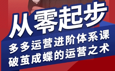 拼多多运营进阶系统课，从零起步，多多运营进阶体系课，破茧成蝶的运营之术-驿想项目网