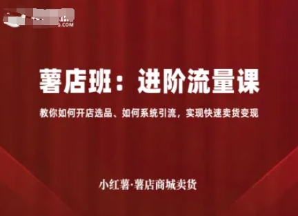 小红薯薯店商城卖货，进阶流量课，教你如何开店选品、如何系统引流，实现快速卖货变现-驿想项目网