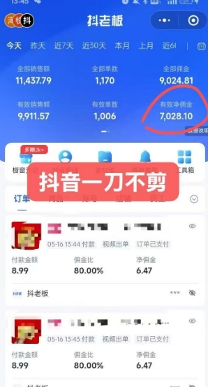 抖音短视频一刀不剪带货，不剪辑，不直播，每天发个视频，等着出单获取带货佣金-驿想项目网