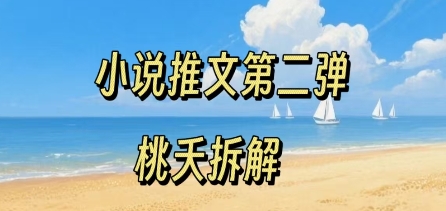 小说推文项目操作全流程第二弹，0粉就能做，门槛低非常适合新手-驿想项目网