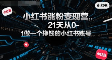 小红书涨粉变现营，21天从0-1做一个挣钱的小红书账号-驿想项目网