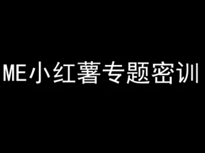 ME小红薯专题密训-小红书电商教程-驿想项目网