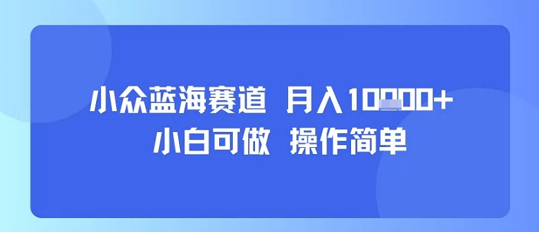 小众蓝海赛道，小白可做，操作简单，每天30分钟，月入1W+-驿想项目网