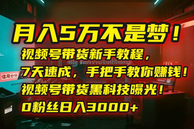（15595期）月入5万不是梦！视频号带货新手教程，7天速成，手把手教你赚钱！视频号…-驿想项目网