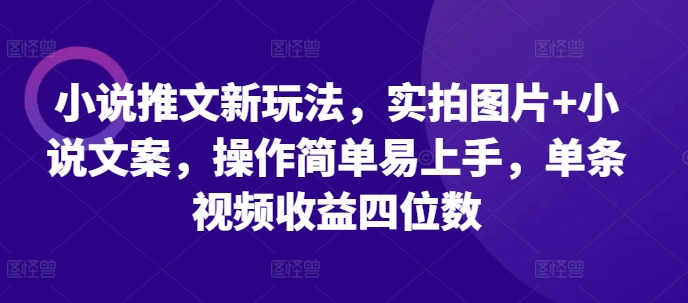 小说推文新玩法，实拍图片+小说文案，操作简单易上手，单条视频收益四位数-驿想项目网
