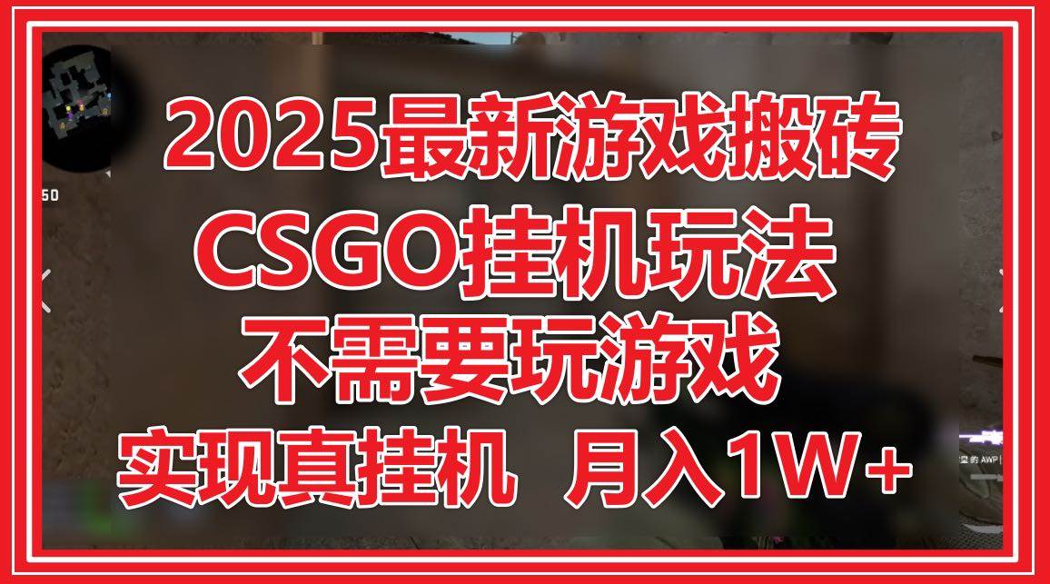 （14743期）2025最新游戏搬砖，CSGO挂机，不需要玩游戏，实现真挂机，月入1W+-驿想项目网