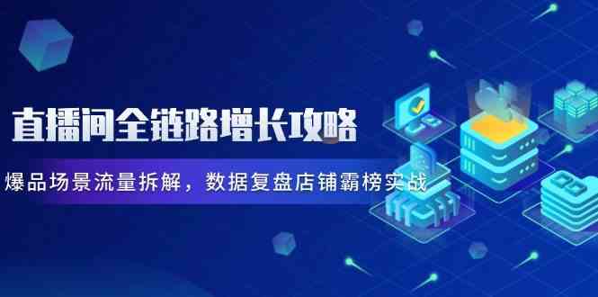 直播间全链路增长攻略，爆品场景流量拆解，数据复盘店铺霸榜实战-驿想项目网