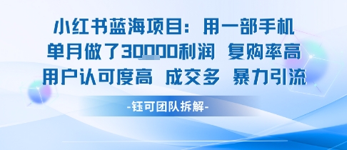小红书蓝海项目，一部手机单月做了3W利润，小白也能月入过1W用户认可度高成交多-驿想项目网