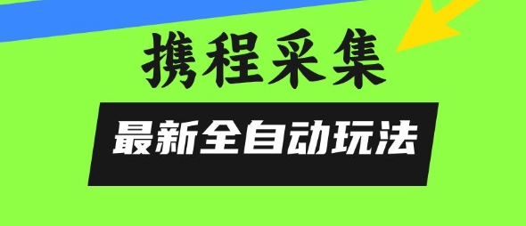 携程信息采集全自动玩法，0风控，无脑开干【揭秘】-驿想项目网