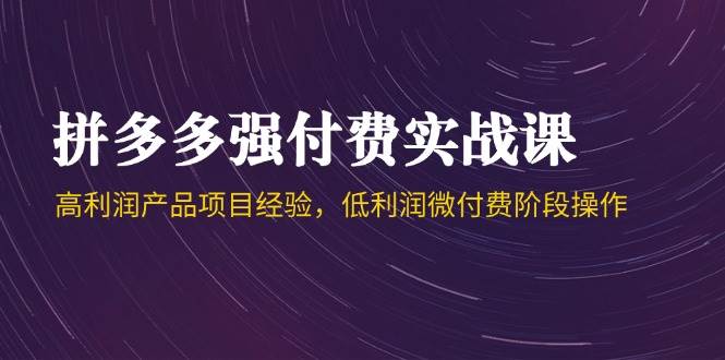（14874期）拼多多强付费实战课-44期，高利润产品项目经验，低利润微付费阶段操作-驿想项目网