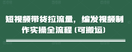 短视频带货拉流量，编发视频制作实操全流程(可搬运)-驿想项目网