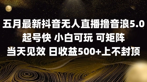 2025五月最新无人直播撸音浪单日产出5张+实操教程【揭秘】-驿想项目网