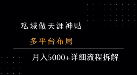 私域做天涯神贴 多平台布局 月入5k+详细流程拆解-驿想项目网