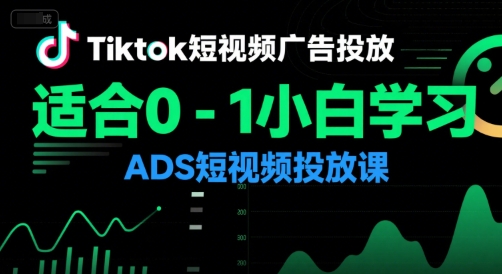 Tiktok短视频广告投放，适合0-1小白学习ADS短视频投放课-驿想项目网