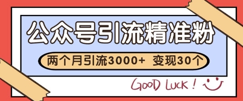 公众号精准粉引流玩法，2个月3000+精准粉，变现30个W【揭秘】-驿想项目网