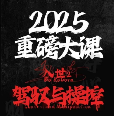 2025重磅大课，入世2，驾驭与控制-驿想项目网