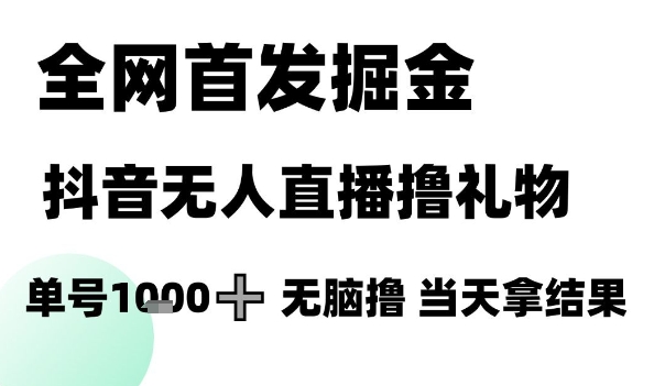 全网首发掘金抖音无人直播撸礼物，单号1k +无脑撸，当天拿结果【揭秘】-驿想项目网