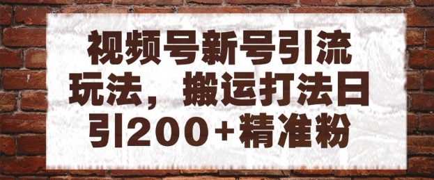 视频号新号引流玩法，搬运打法日引200+精准粉，可矩阵放大【揭秘】-驿想项目网