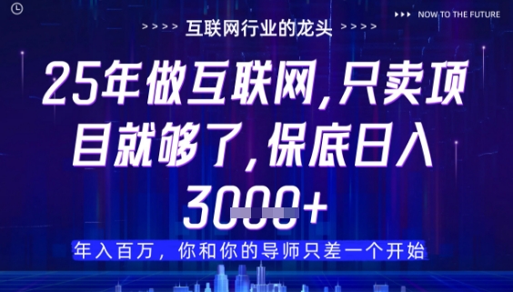 什么！25年你还在找项目做？风口早就变了，卖项目才是稳挣不赔【揭秘】-驿想项目网