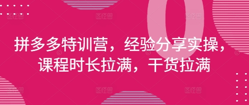 拼多多特训营，经验分享实操，课程时长拉满，干货拉满(更新25年4月)-驿想项目网