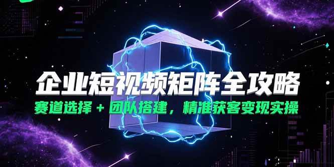 （15242期）企业短视频矩阵全攻略，赛道选择+团队搭建，精准获客变现实操-驿想项目网