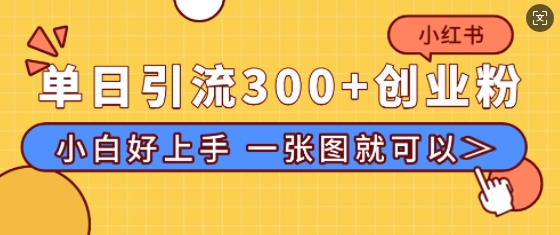 小红书单日引流300+创业粉，“简单粗暴”引流法，小白好上手，私信回不完-驿想项目网
