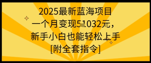 2025最新蓝海项目一个月变现1w+新手小白也能轻松上手【附全套指令】-驿想项目网