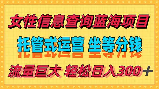 （15216期）稳定日入300＋，小众信息查询蓝海项目，全程懒人式托管，解放你的时间-驿想项目网