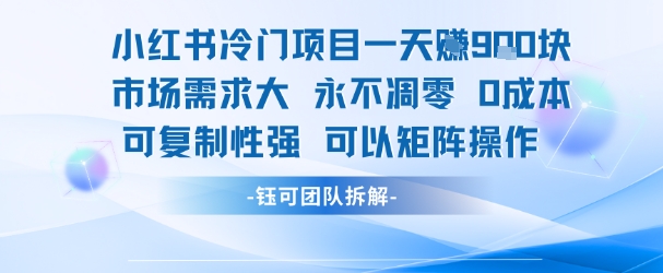 小红书冷门项目一天收益9张，市场需求大，0成本，可复制性强可以矩阵操作-驿想项目网