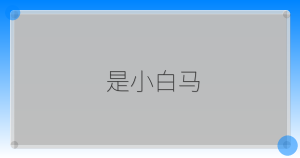 是小白马-驿想项目网