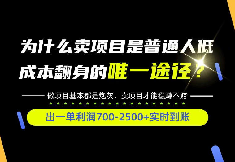 普通人如何靠互联网賺取自己的第一桶金！全类目实操型教学，看完你全都懂了！【揭秘】-驿想项目网
