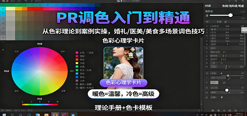 PR调色入门到精通：从色彩理论到案例实操，婚礼/医美/美食多场景调色技巧-驿想项目网